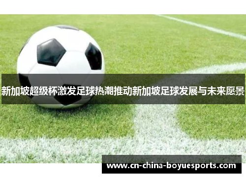 新加坡超级杯激发足球热潮推动新加坡足球发展与未来愿景