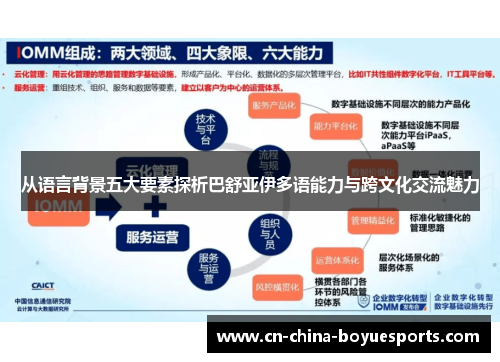 从语言背景五大要素探析巴舒亚伊多语能力与跨文化交流魅力 从语言背景五大要素探析巴舒亚伊多语能力与跨文化交流魅力