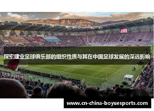 探索建业足球俱乐部的组织性质与其在中国足球发展的深远影响