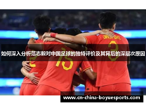 如何深入分析范志毅对中国足球的独特评价及其背后的深层次原因