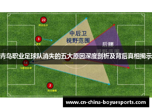 青岛职业足球队消失的五大原因深度剖析及背后真相揭示